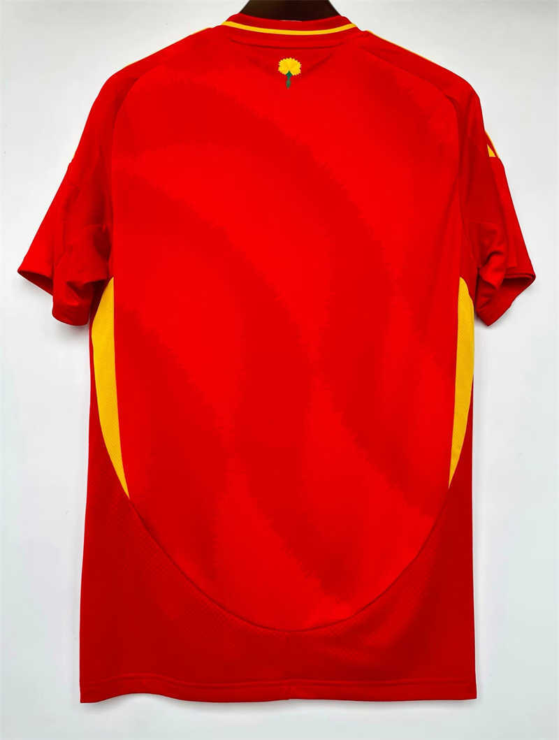 (image for) AAA 2024 Spain Home Soccer Jersey