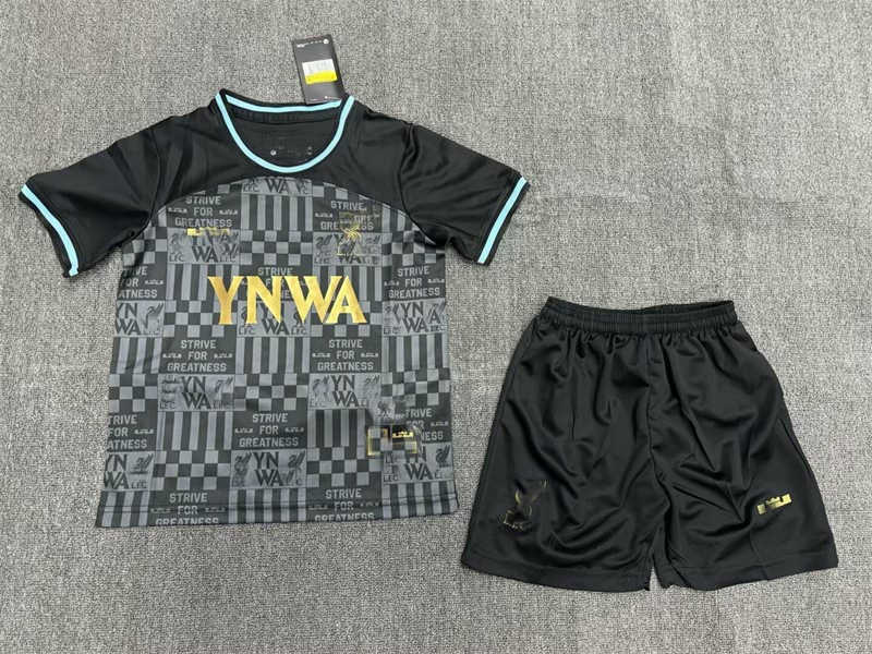 (image for) 2023/24 Liverpoolnk Lebron Youth Soccer Jersey