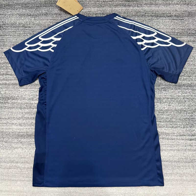 (image for) AAA 2024/25 Paris Saint-Germaink Fourth Soccer Jersey