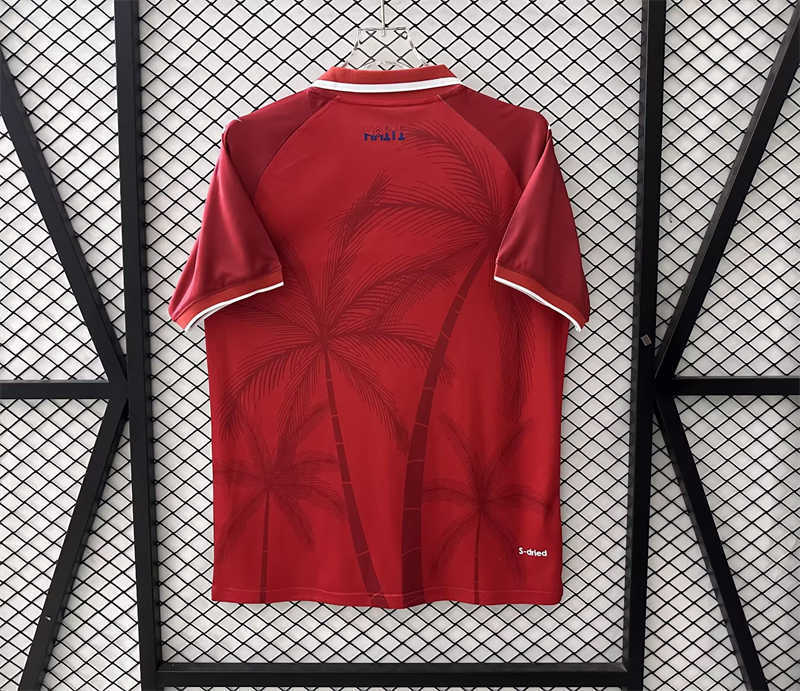 (image for) AAA 2026 Haiti Third Soccer Jersey