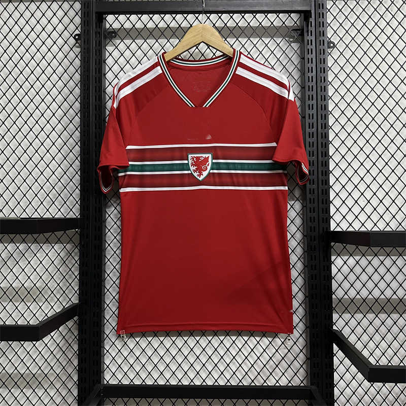(image for) AAA 2026 Wales Home Soccer Jersey