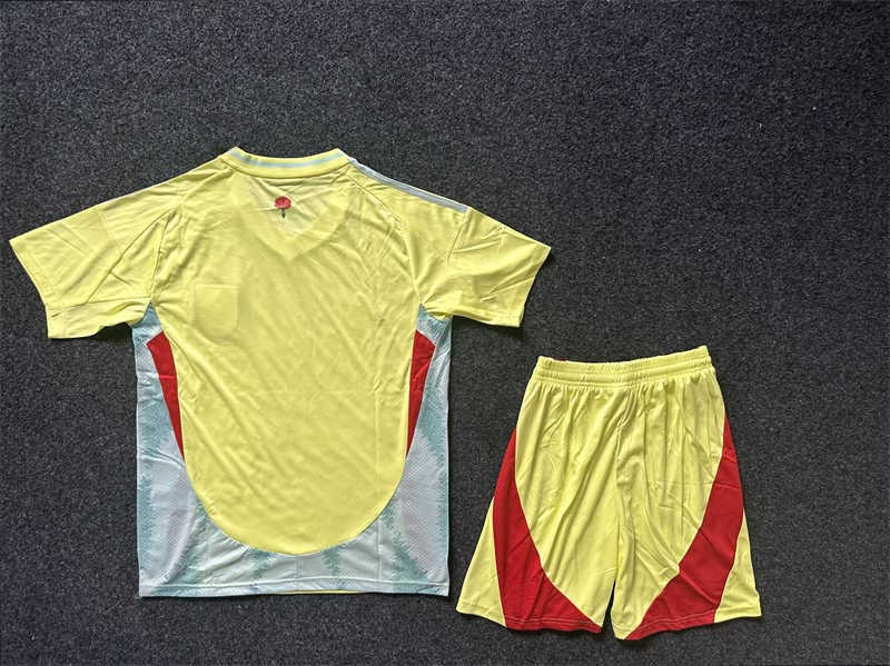 (image for) 2024 Spain Away Soccer Jersey