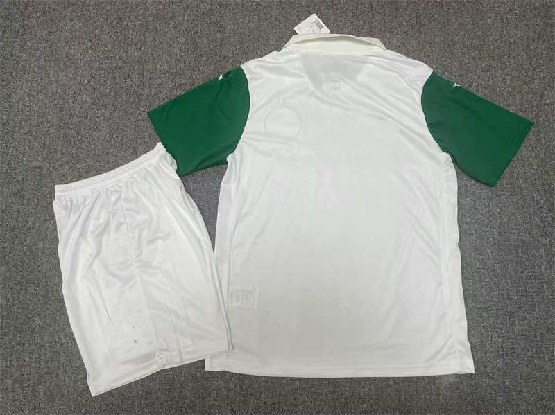 (image for) 2025/26 Palmeiras Away Soccer Jersey