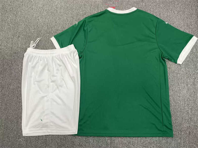 (image for) 2025/26 Palmeiras Home Soccer Jersey